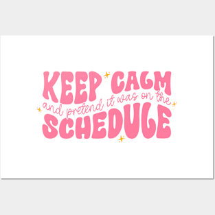 Keep Calm and Pretend It's on the Schedule shirt, Vetmed shirt, Work Life Posters and Art